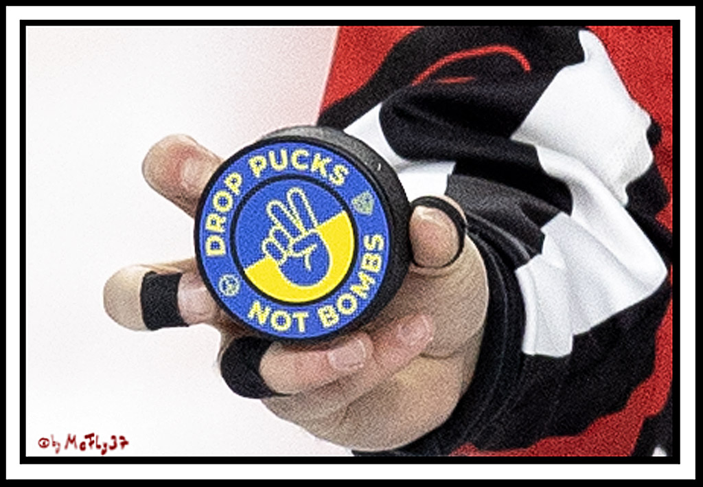 PENNY DEL;  Koelner Haie - Straubing Tigers; Koeln, 11.03.2022